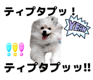 855682614