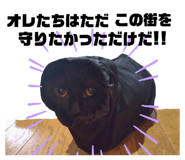 855682619