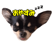 855682961