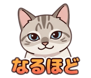 855683375