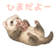 855683614