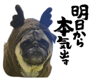 855683641