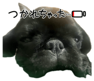 855683643