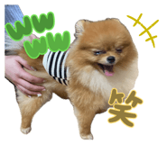 855683944