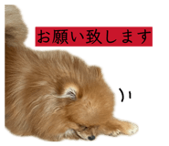 855683958