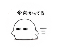 855684137