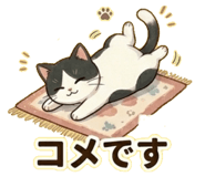 855684330