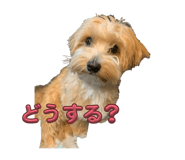 855684672