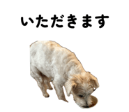 855684709