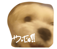 855685071