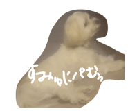 855685073