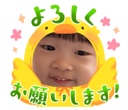 855685206