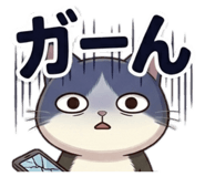 855685421