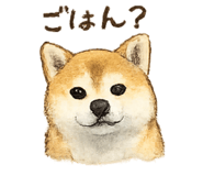 855685425