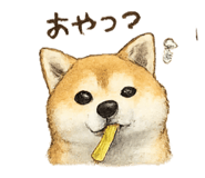 855685426