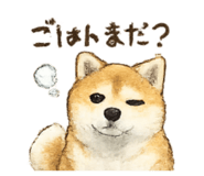855685427