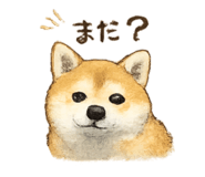 855685428
