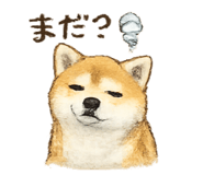 855685429