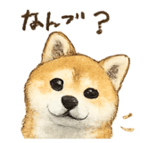 855685430