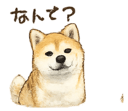855685434