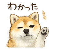 855685436