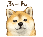 855685437