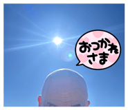 855685568