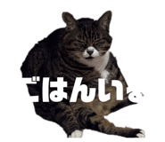 855685578