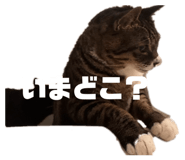 855685591