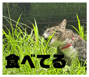 855685595