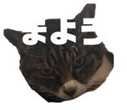 855685596