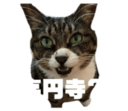 855685597