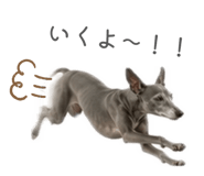 855686279