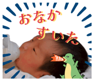 855686302