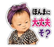 855686446