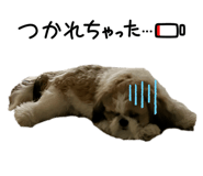 855686503