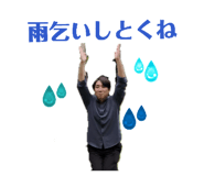 855686516