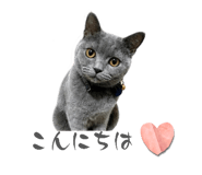 855686734