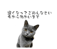 855686737