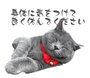855686739