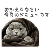 855686744