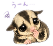 855687001