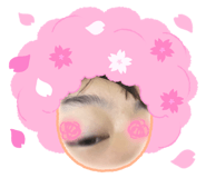 855687053