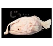 855687360