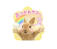 855687846