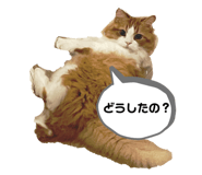 855687946