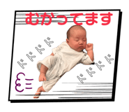 855687967