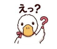 855688004
