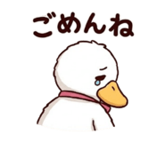 855688012