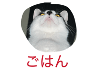 855688065
